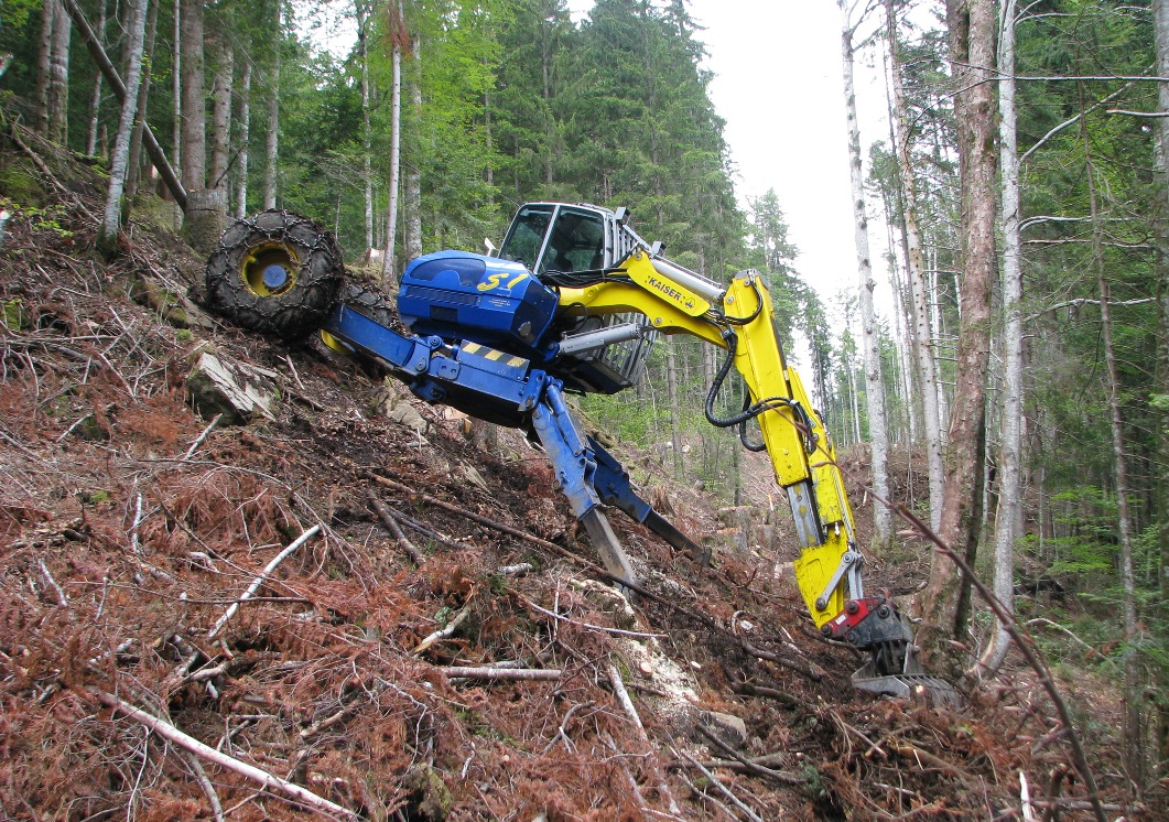 nettoyage de forêts