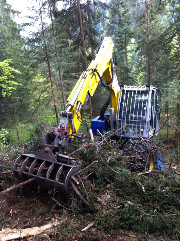 Nettoyage de forêts