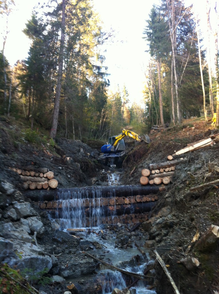 Construction de barrages en bois